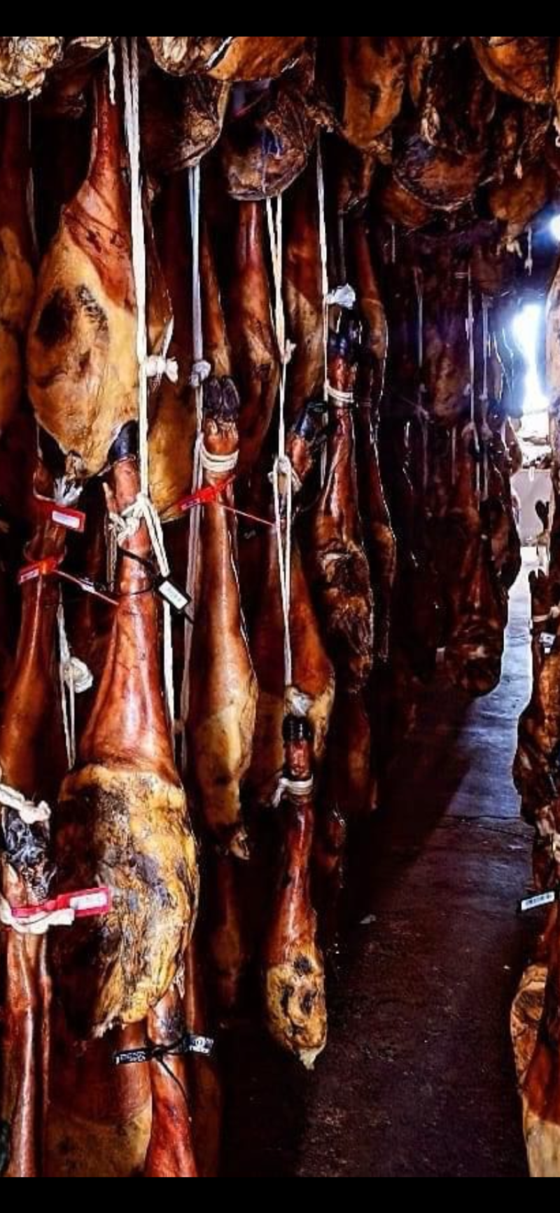 JAMON DE BELLOTA 6 KILOS 100% IBERICO <PIEZA ENTERA>