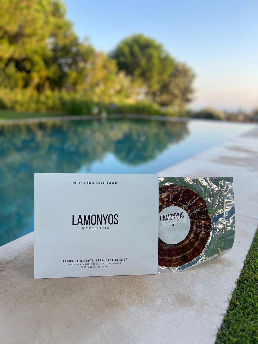 Picnic Pack Vinyl record Jamón Bellota